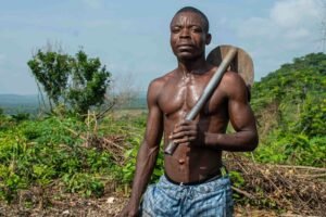 enhance your digital growth