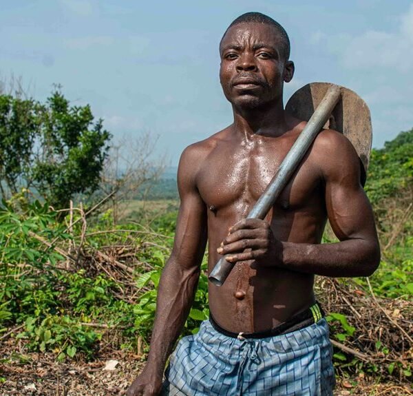 strengthen growth with tools